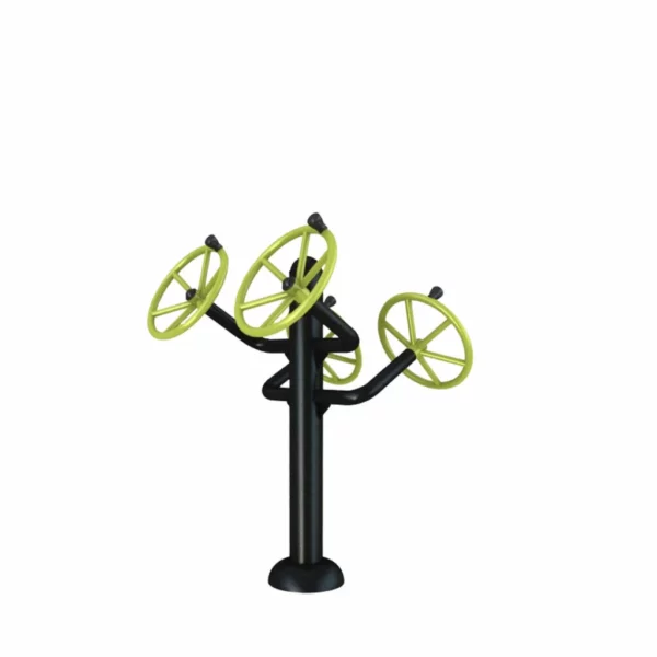 Appareil fitness extérieur Volant double
