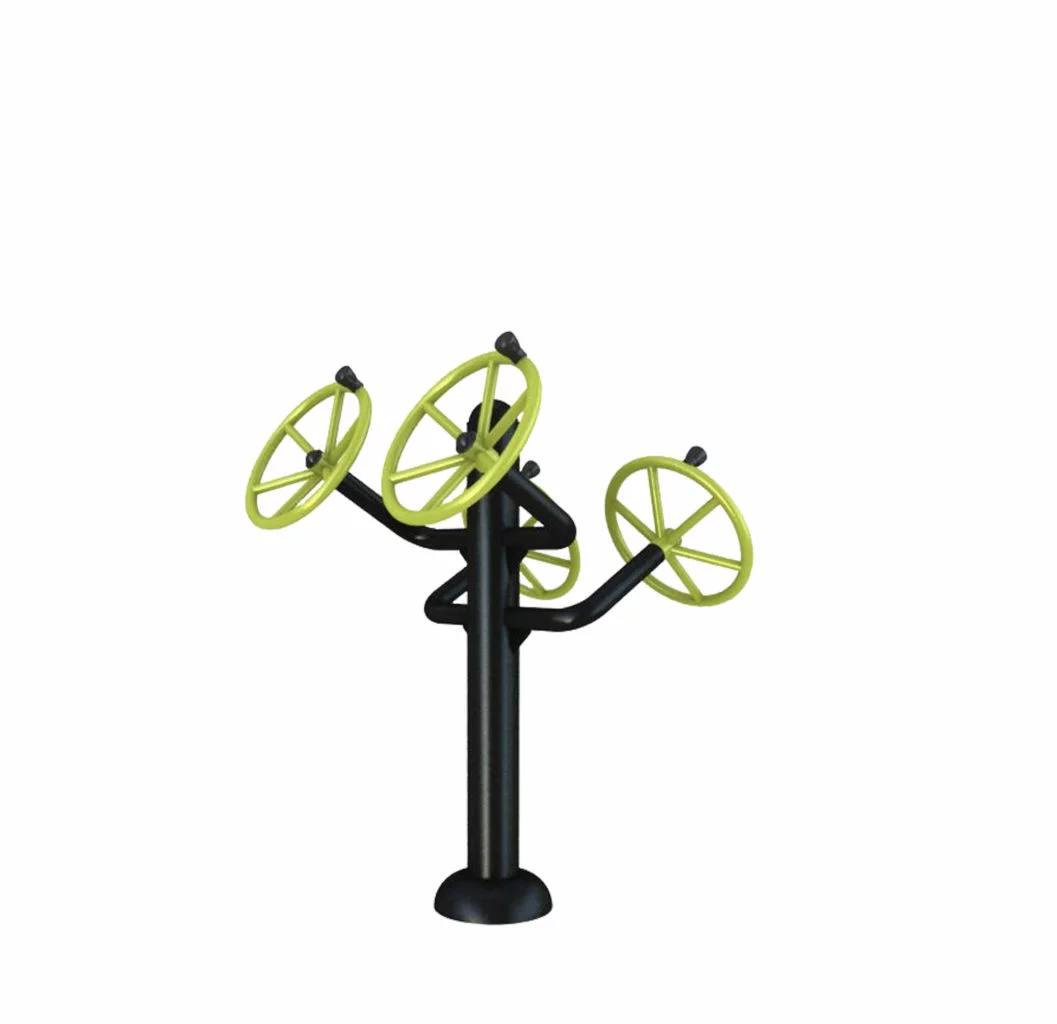 Appareil fitness extérieur Volant double